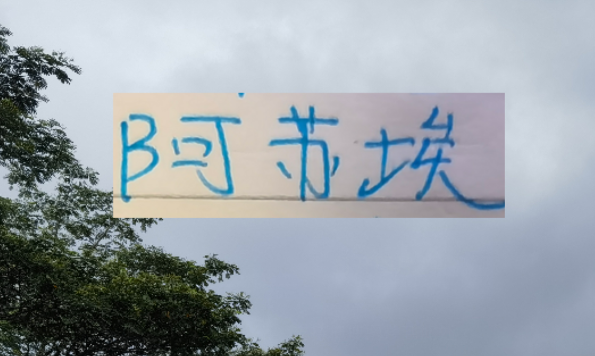 海港也走捡漏路线了 22岁多哥外援会比24岁申花前锋高级吗